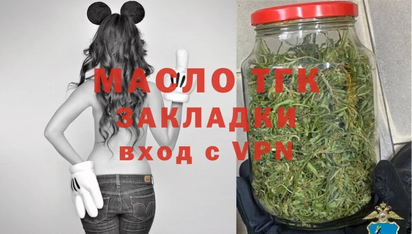 гидра Арсеньев