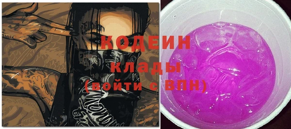 гидра Арсеньев